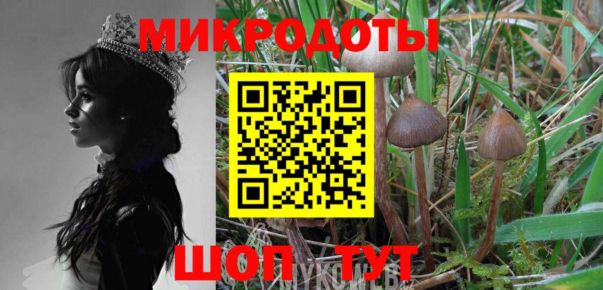 Галлюциногенные грибы GOLDEN TEACHER Городец