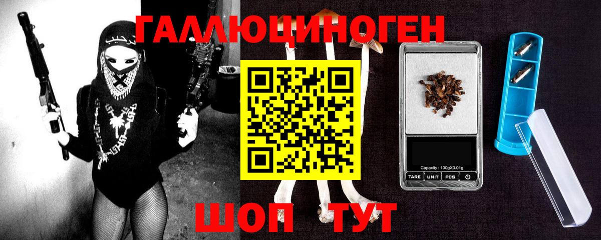 Галлюциногенные грибы MAGIC MUSHROOMS  Вход с VPN  Городец  Псилоцибиновые грибы прущие грибы 